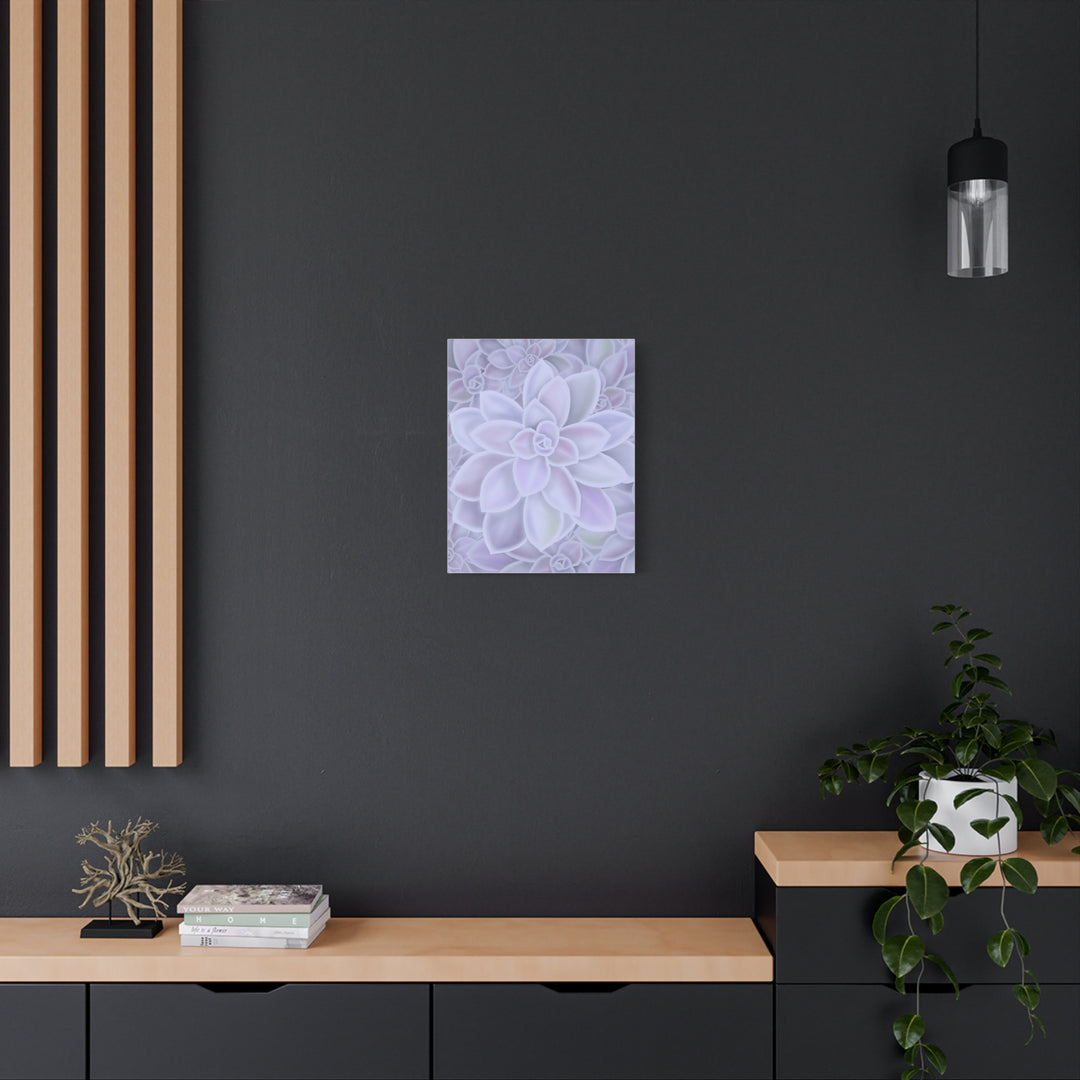 Graptopetalum Murasaki Succulent Canvas Art Print Pastel Purple Rosette Indoor Plant Decor