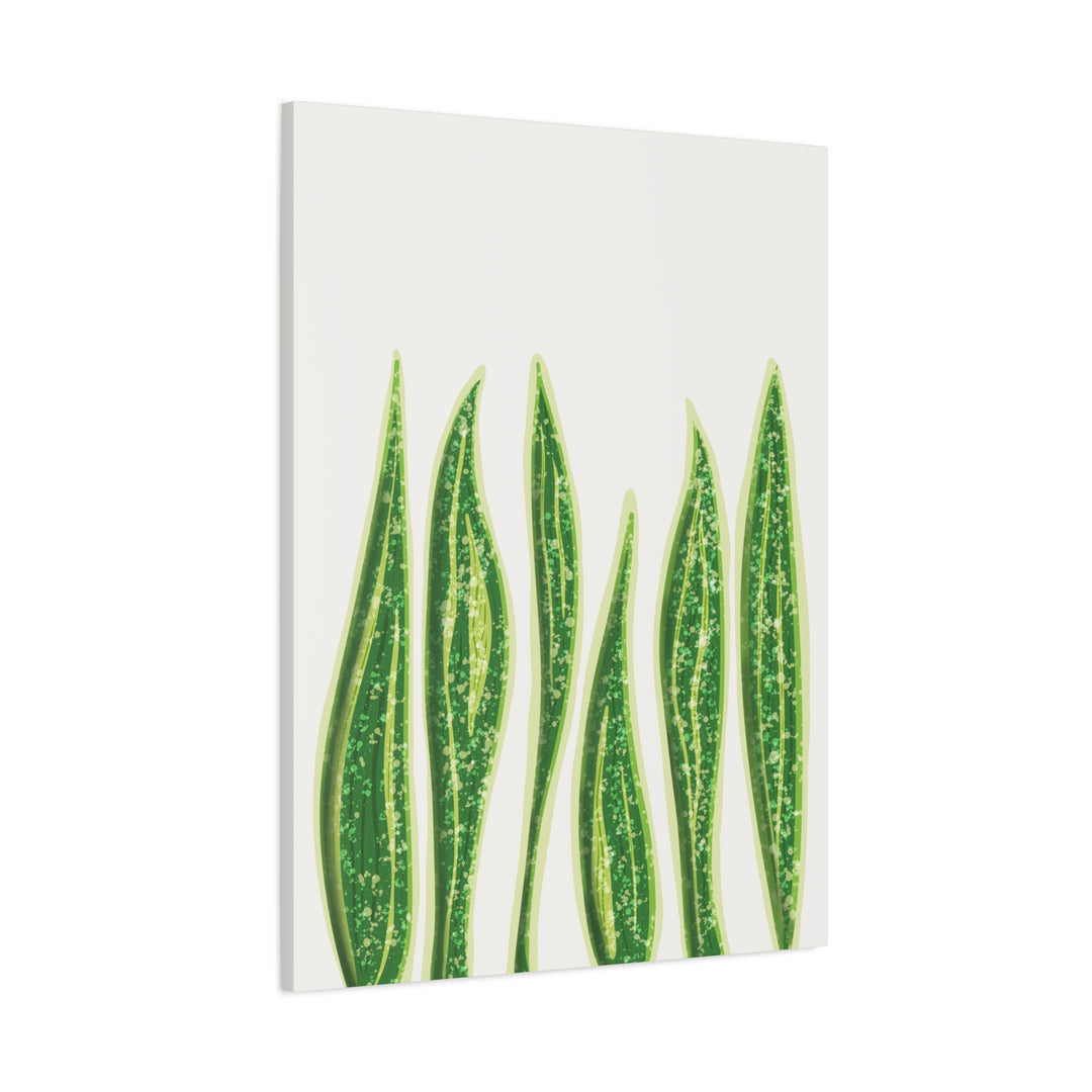 Snake Plant Canvas Print Matte 1.25 Inch Stretch Canvas Wall Art For Living Room Decor