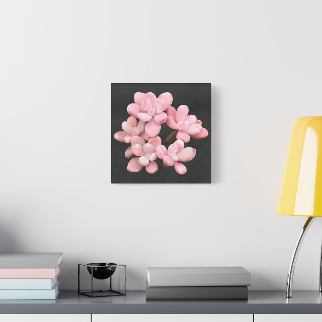 Pink Moonstone Canvas Print – Botanical Wall Art