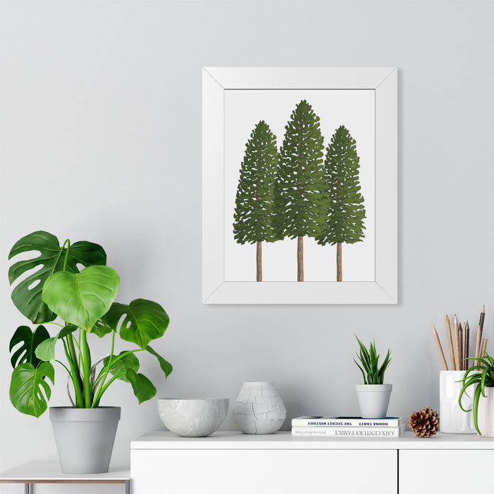Ponderosa Pine Framed Print – Wall Art