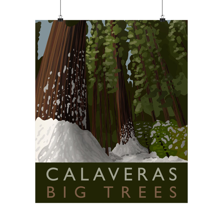 Calaveras Big Trees Print – Unframed Wall Art