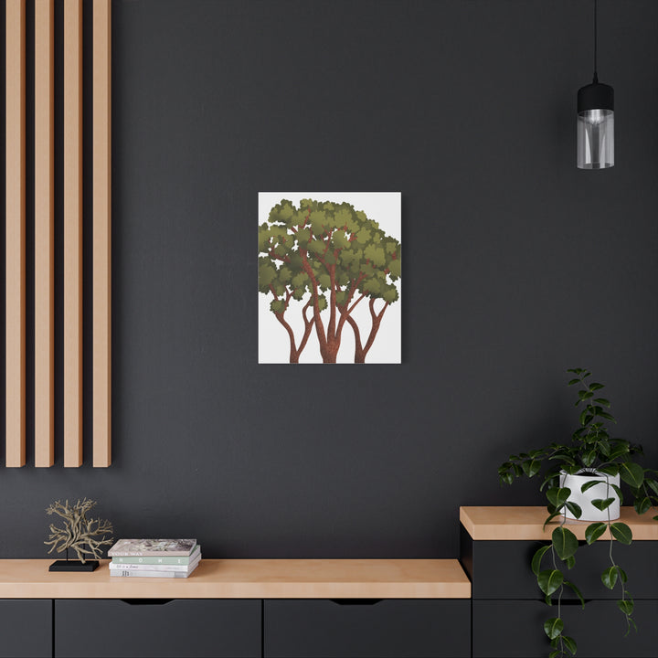 Pacific Madrone Canvas Print – Wall Art