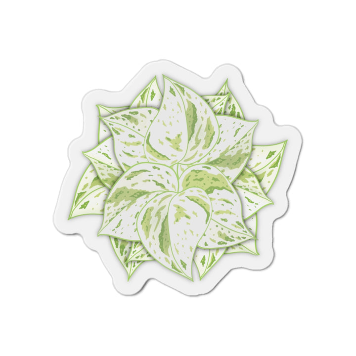 Snow Queen Pothos Magnet