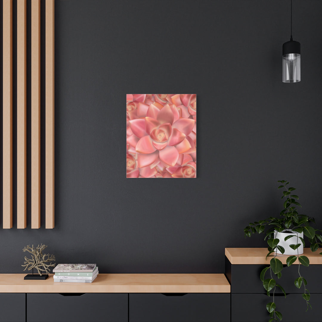 Graptosedum California Sunset Succulent Canvas Print – Botanical Wall Art - The Potted Pixel