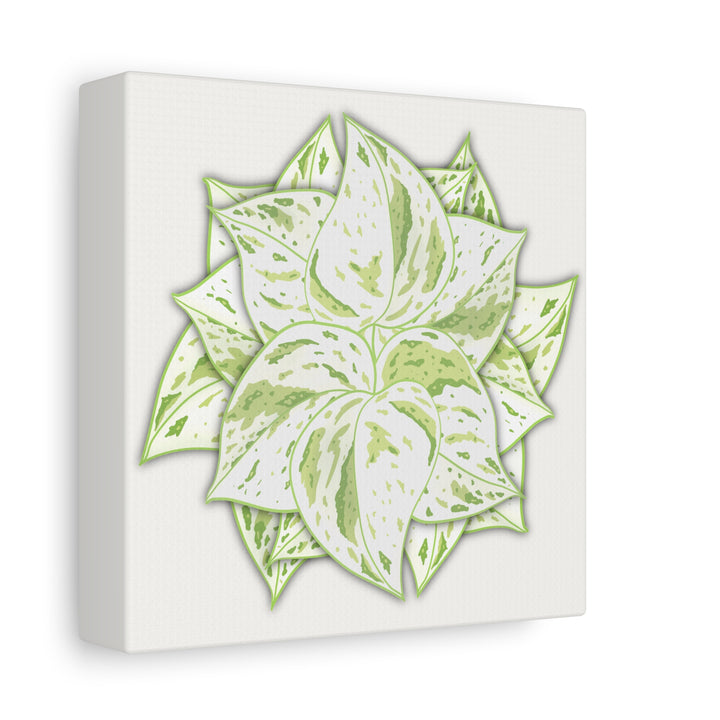 Snow Queen Pothos Canvas Wall Art Variegated Indoor Plant Leaf Poster Print Cotton Canvas