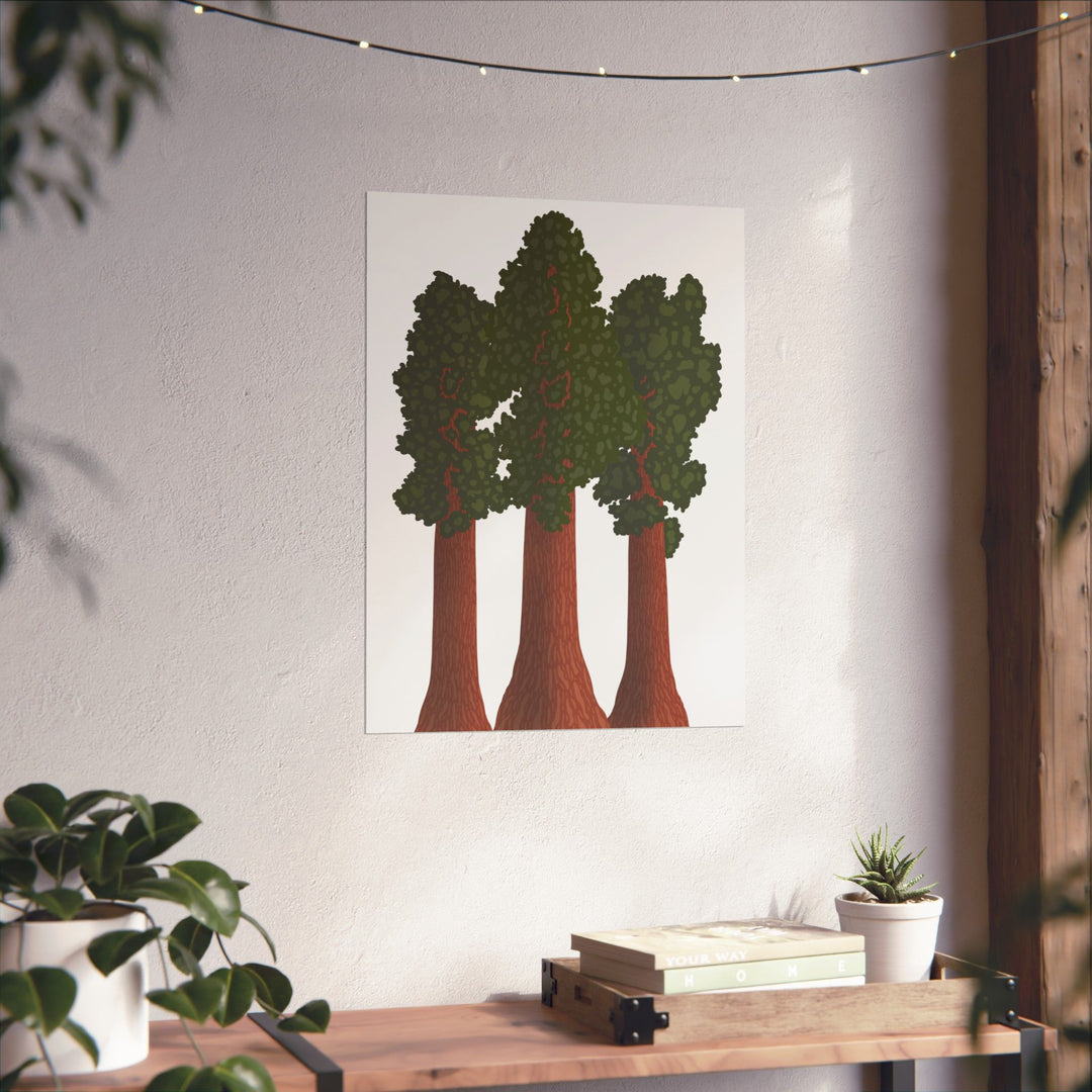 Giant Sequoias Print – Unframed Wall Art