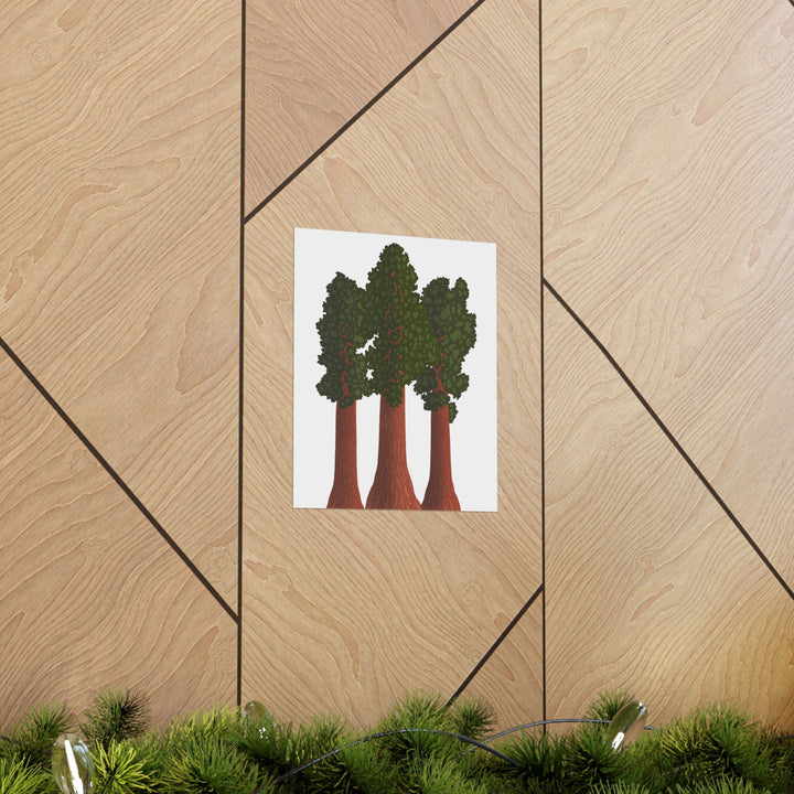 Giant Sequoias Print – Unframed Wall Art