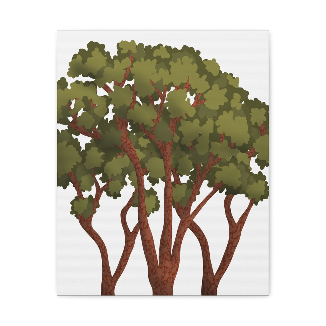 Pacific Madrone Canvas Print – Wall Art