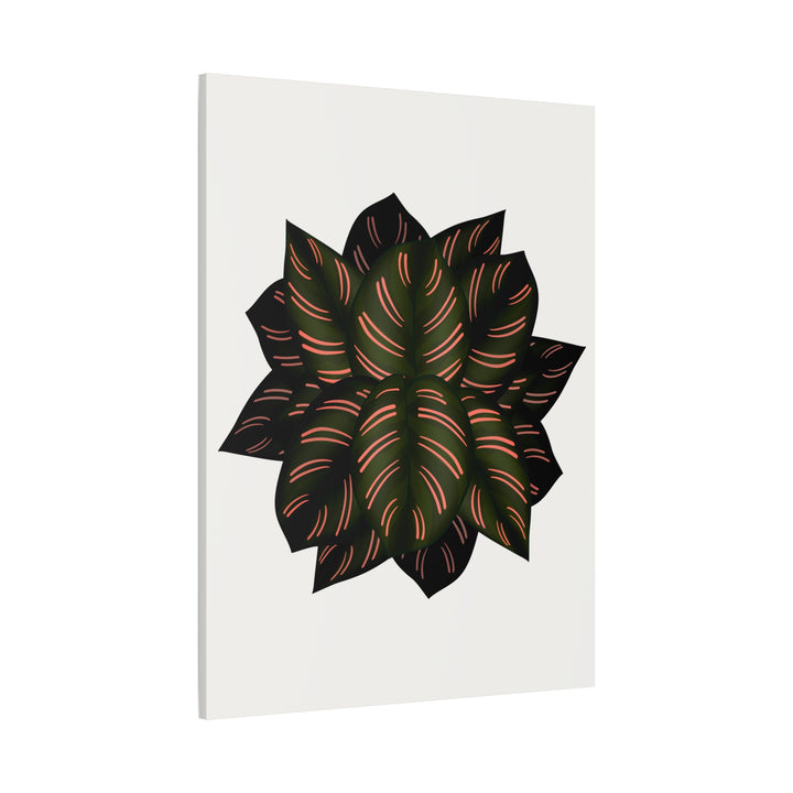 Calathea Pinstripe Canvas Botanical Wall Art Print On Stretched Cotton Canvas For Living Room Decor