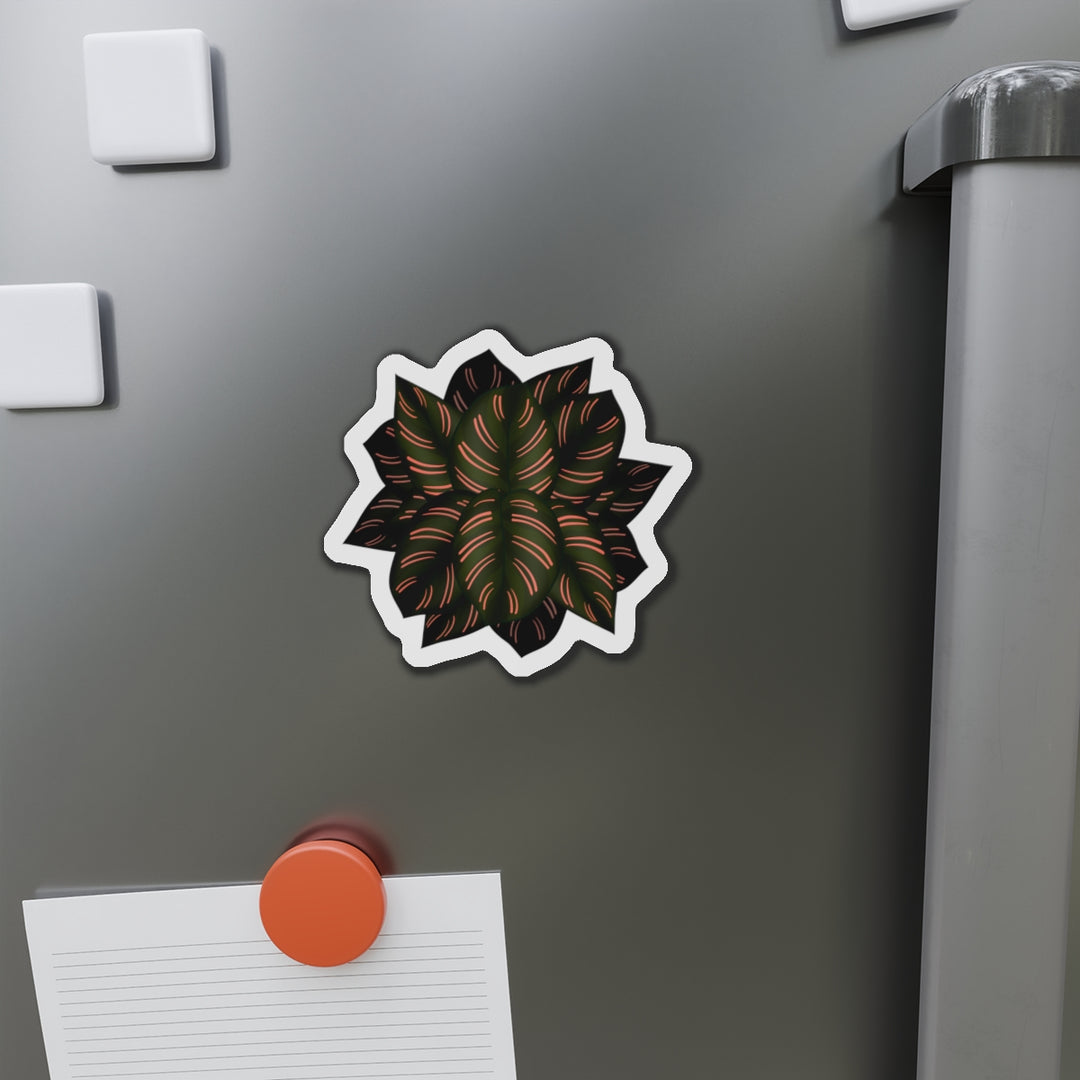 Calathea Pinstripe Magnet