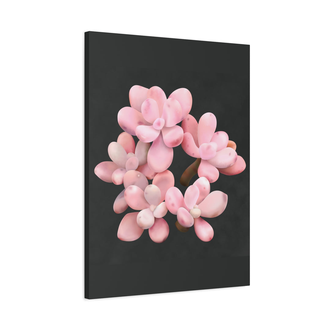 Pink Moonstone Canvas Print – Botanical Wall Art