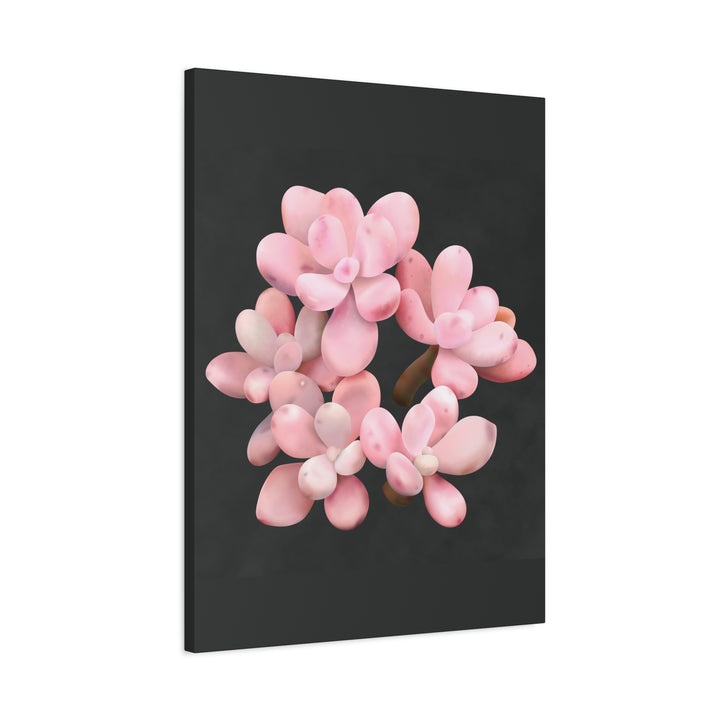 Pink Moonstone Canvas Print – Botanical Wall Art