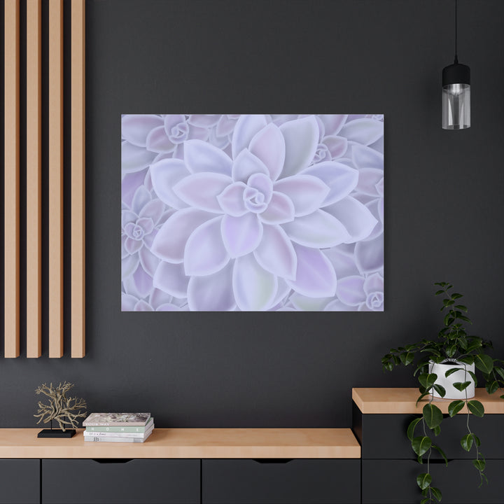 Graptopetalum Murasaki Succulent Canvas Art Print Pastel Purple Rosette Indoor Plant Decor
