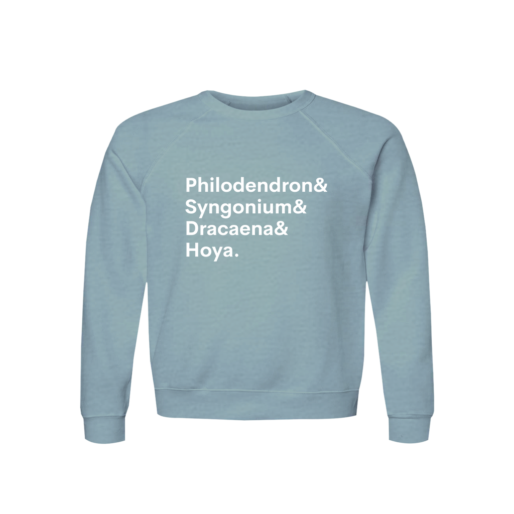 Apparel-DTG-Sweatshirt-Bella-3901-XL-HeatherBlueLagoon-Unisex-CF-20260810201940395