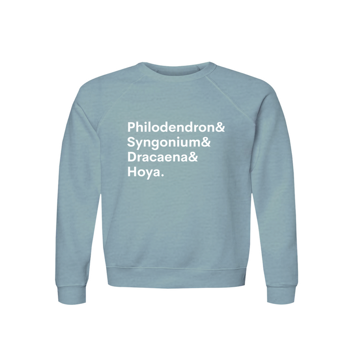 Apparel-DTG-Sweatshirt-Bella-3901-S-HeatherBlueLagoon-Unisex-CF-20260810201940395