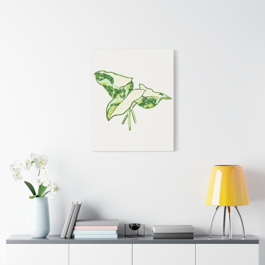 Marble Syngonium Canvas Botanical Wall Art Stretched Print On Durable Cotton Canvas Matte Finish