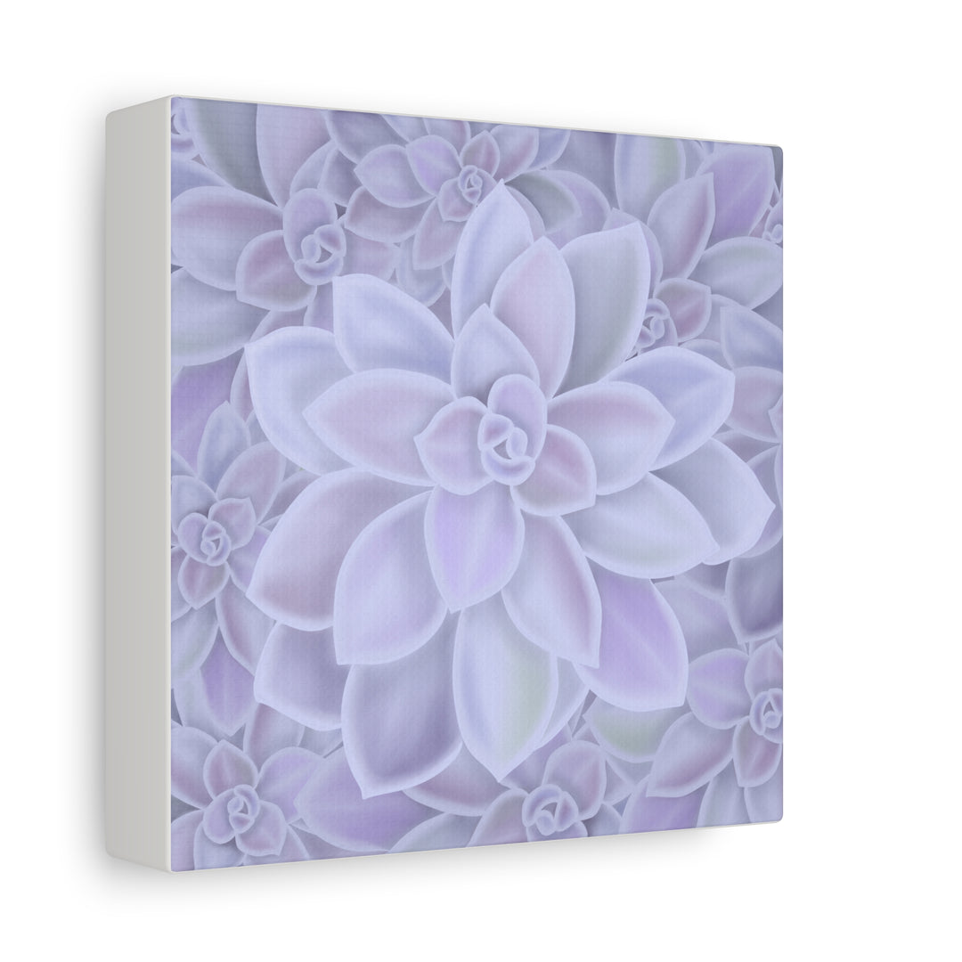 Graptopetalum Murasaki Succulent Canvas Art Print Pastel Purple Rosette Indoor Plant Decor