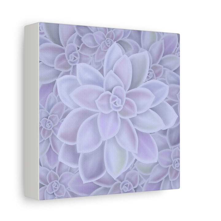 Graptopetalum Murasaki Succulent Canvas Art Print Pastel Purple Rosette Indoor Plant Decor