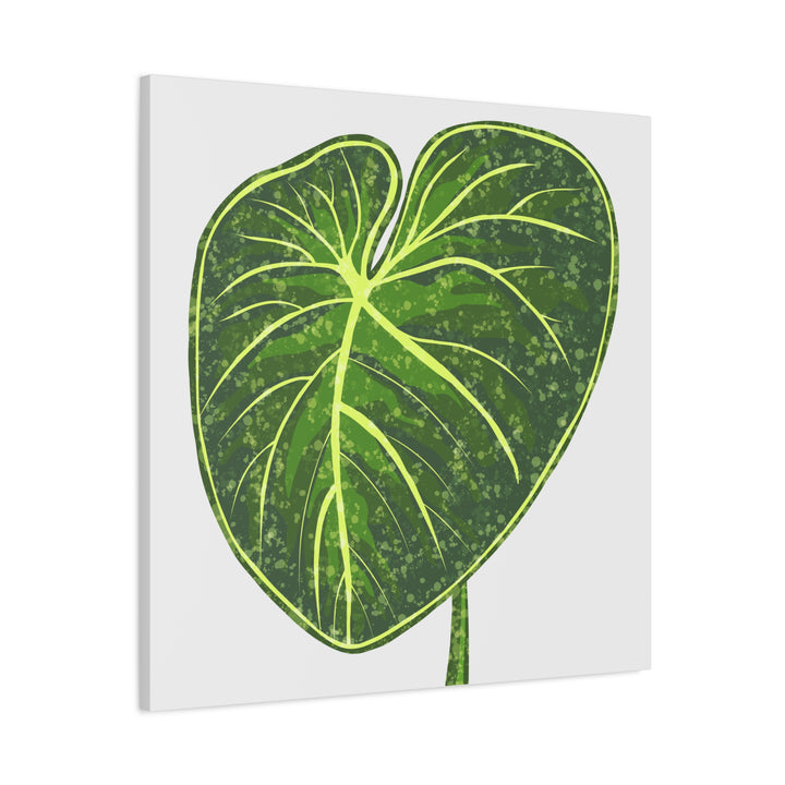 Philodendron Gloriosum Canvas Print Stretched Wall Art Botanical Leaf Print Matte Finish Gallery Wrapped Canvas