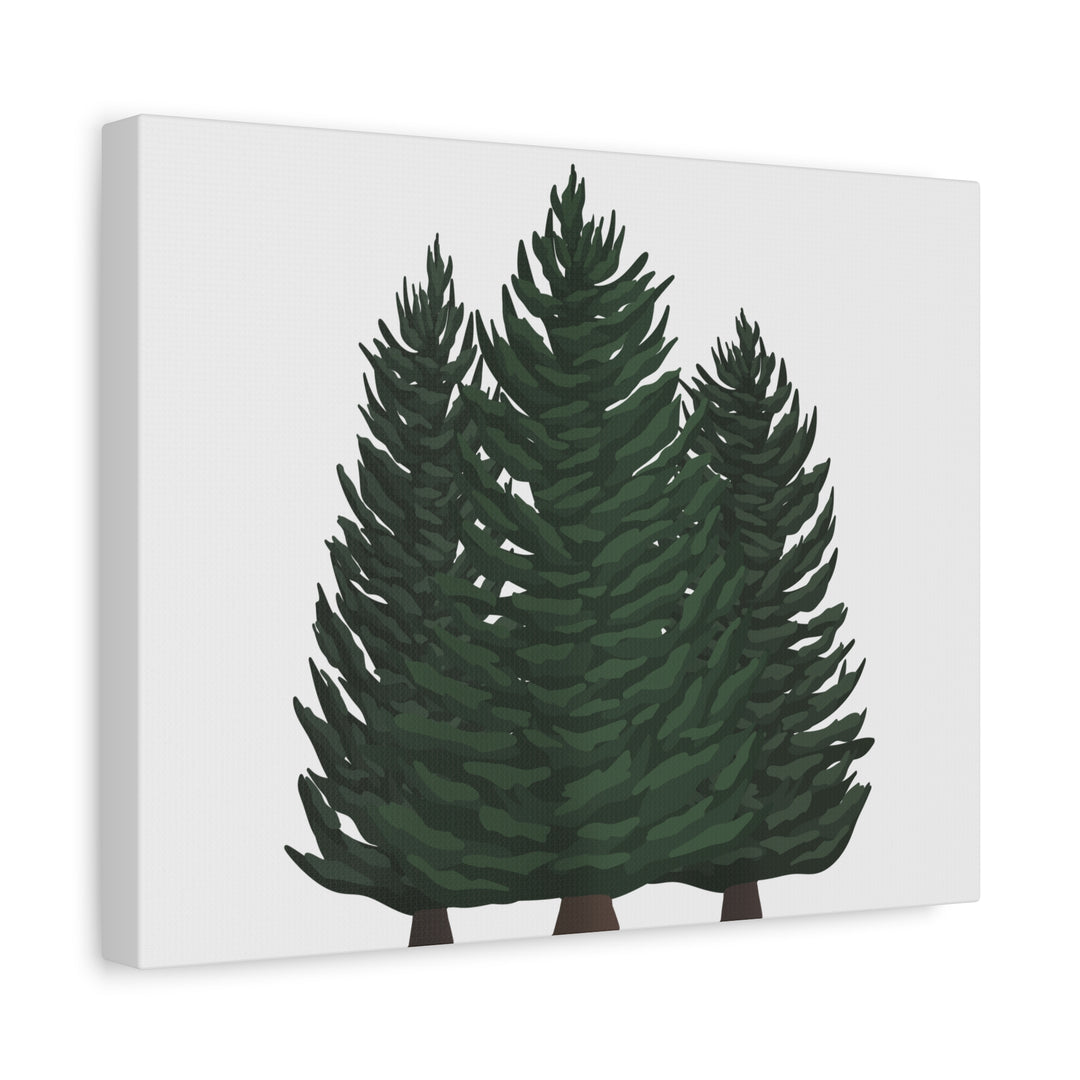 Douglas Fir Canvas Print – Wall Art
