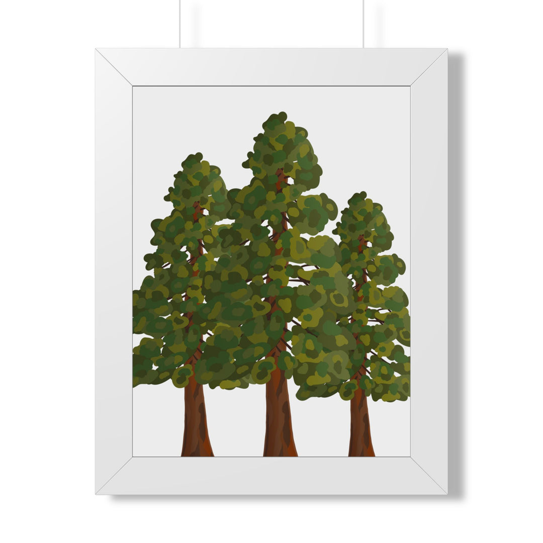 Coastal Redwood Framed Print – Wall Art