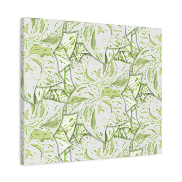 Snow Queen Pothos Canvas Print With Variegated White Leaves In Matte Finish For Modern Home Decor