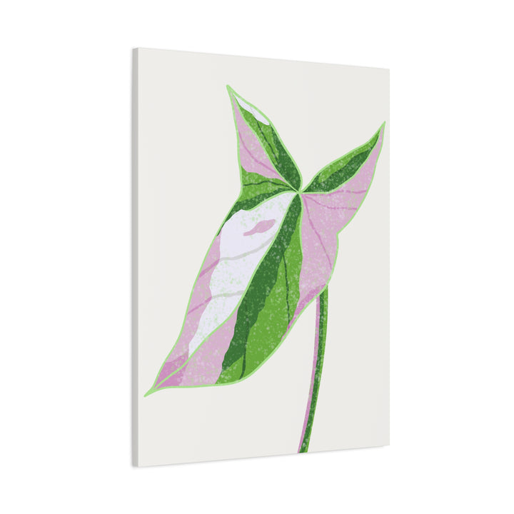 Syngonium Tricolor Canvas Print – Botanical Wall Art - The Potted Pixel