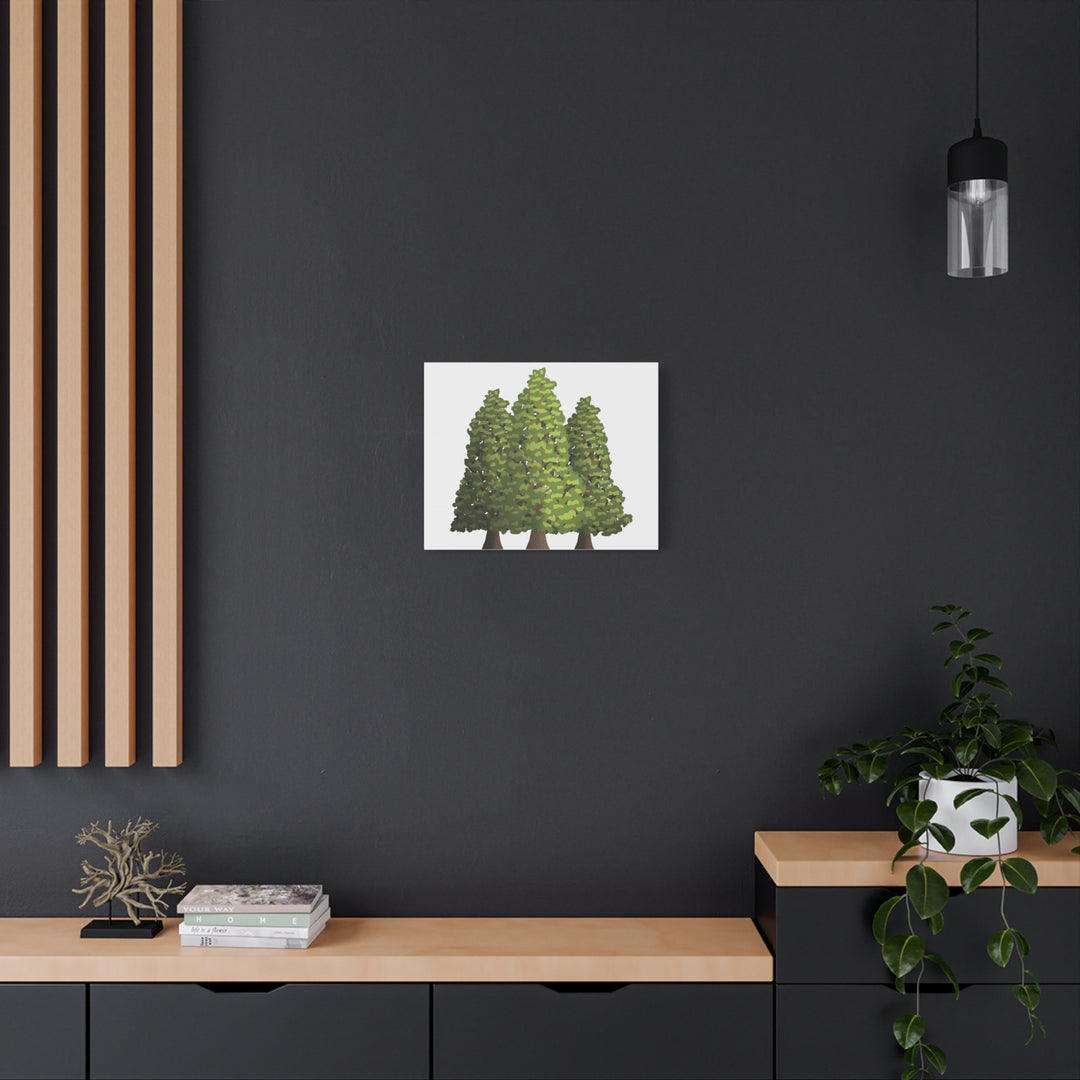 Incense Cedar Canvas Print – Wall Art