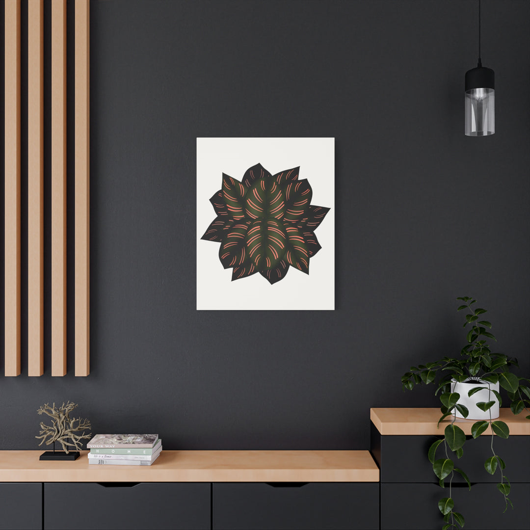 Calathea Pinstripe Canvas Botanical Wall Art Print On Stretched Cotton Canvas For Living Room Decor
