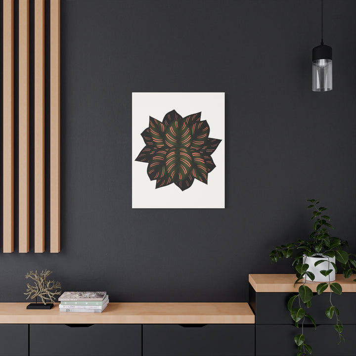 Calathea Pinstripe Canvas Botanical Wall Art Print On Stretched Cotton Canvas For Living Room Decor