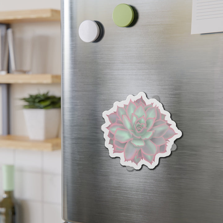 Echeveria Violet Queen Succulent Magnet