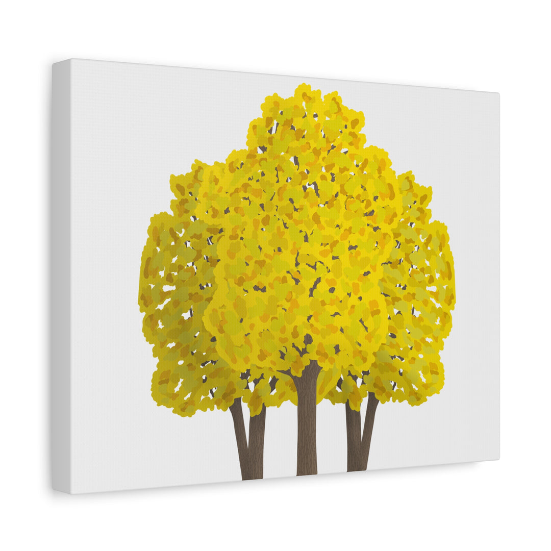 Big Leaf Maple Canvas Print – Wall Art