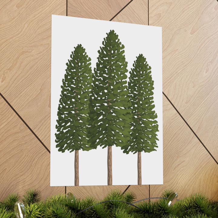 Ponderosa Pine Print – Unframed Wall Art