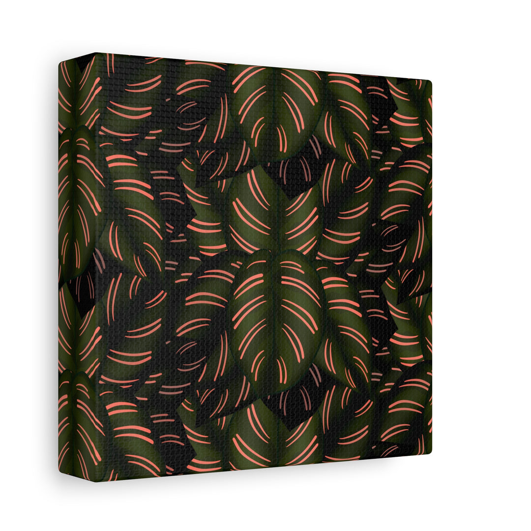 Calathea Pinstripe Canvas Print With Matte Finish Stretched Botanical Wall Art For Living Room Decor