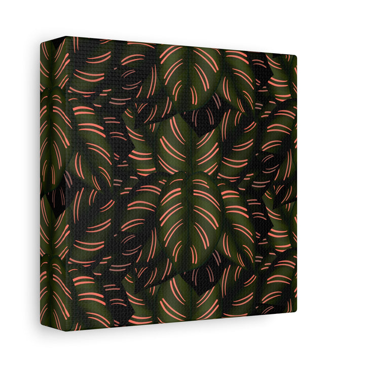 Calathea Pinstripe Canvas Print With Matte Finish Stretched Botanical Wall Art For Living Room Decor