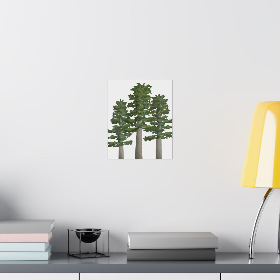 Sitka Spruce Print – Unframed Wall Art