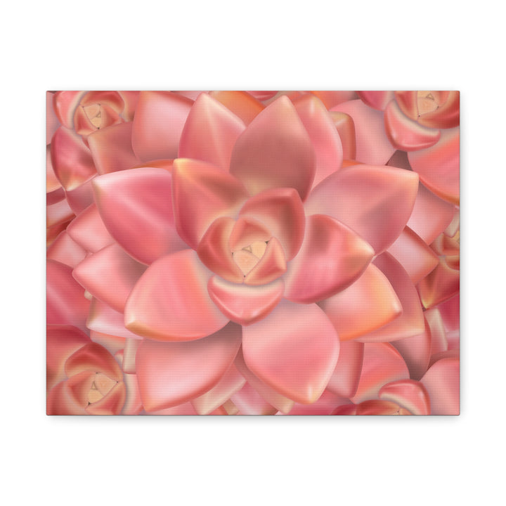 Graptosedum California Sunset Succulent Canvas Print – Botanical Wall Art - The Potted Pixel