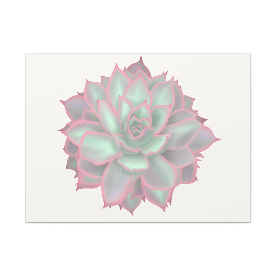 Echeveria Violet Queen Canvas Wall Art Rosette Succulent Print With Matte Finish