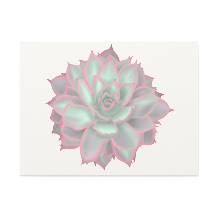 Echeveria Violet Queen Canvas Wall Art Rosette Succulent Print With Matte Finish