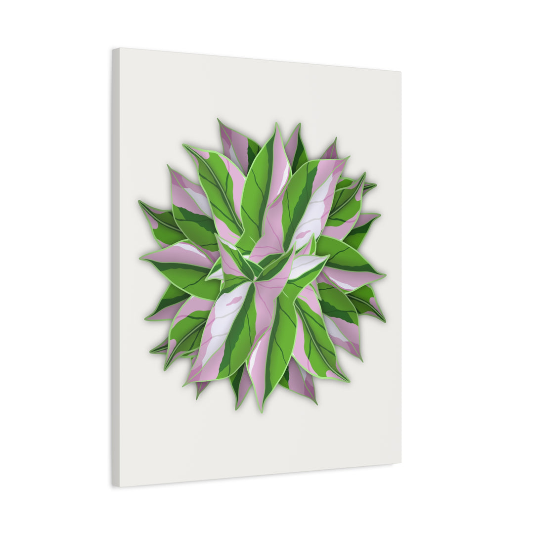 Syngonium Tricolor Canvas Print – Botanical Wall Art - The Potted Pixel