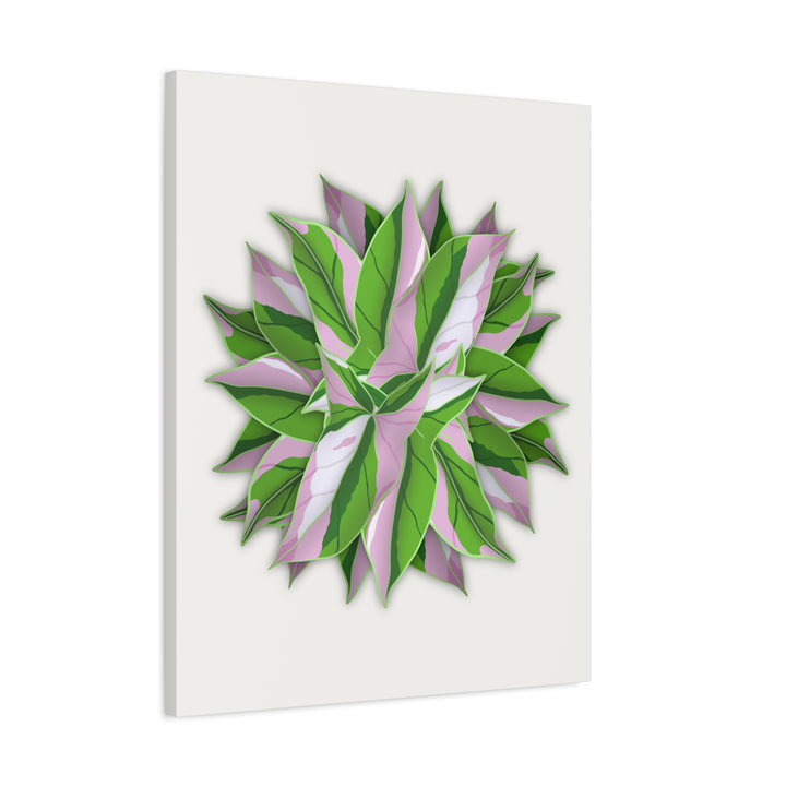 Syngonium Tricolor Canvas Print – Botanical Wall Art - The Potted Pixel