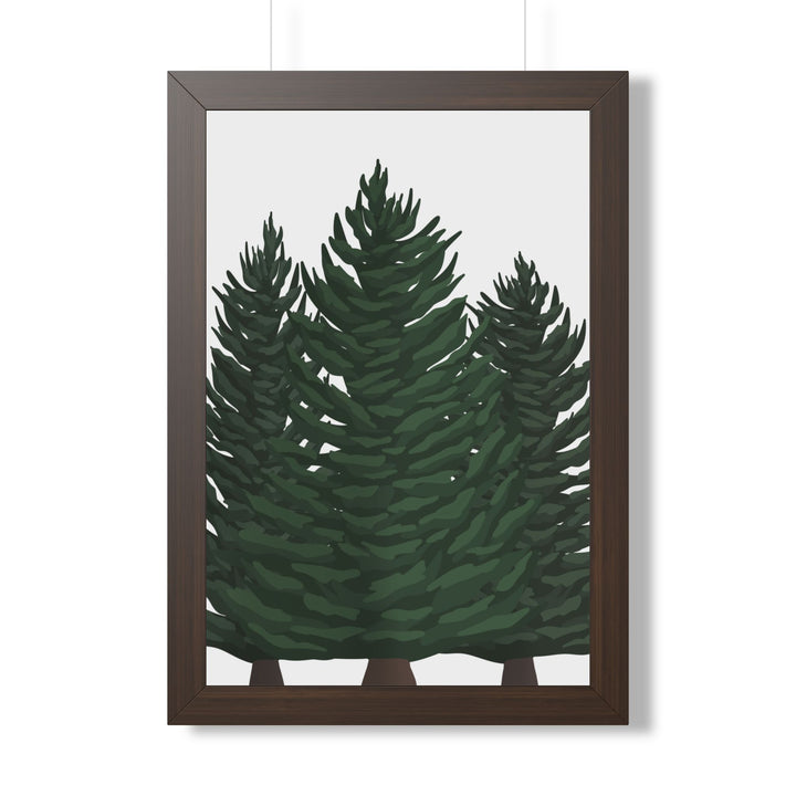 Douglas Fir Framed Print – Wall Art