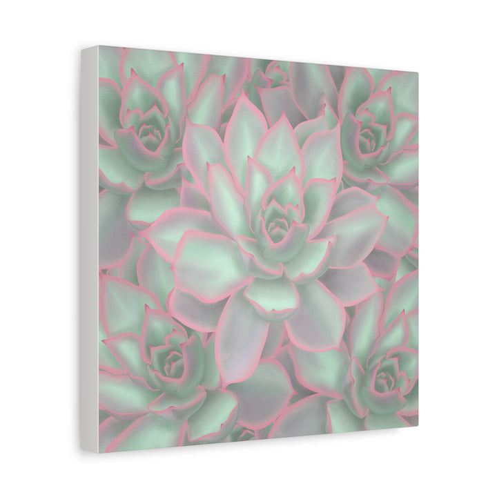 Echeveria Violet Queen Canvas Wall Art Succulent Print Matte Botanical Decor For Indoor Spaces