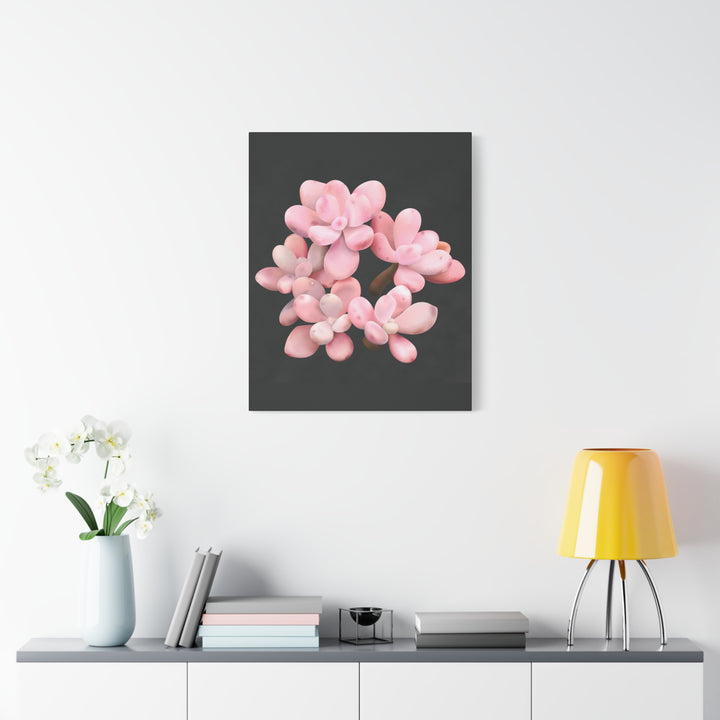 Pink Moonstone Canvas Print – Botanical Wall Art