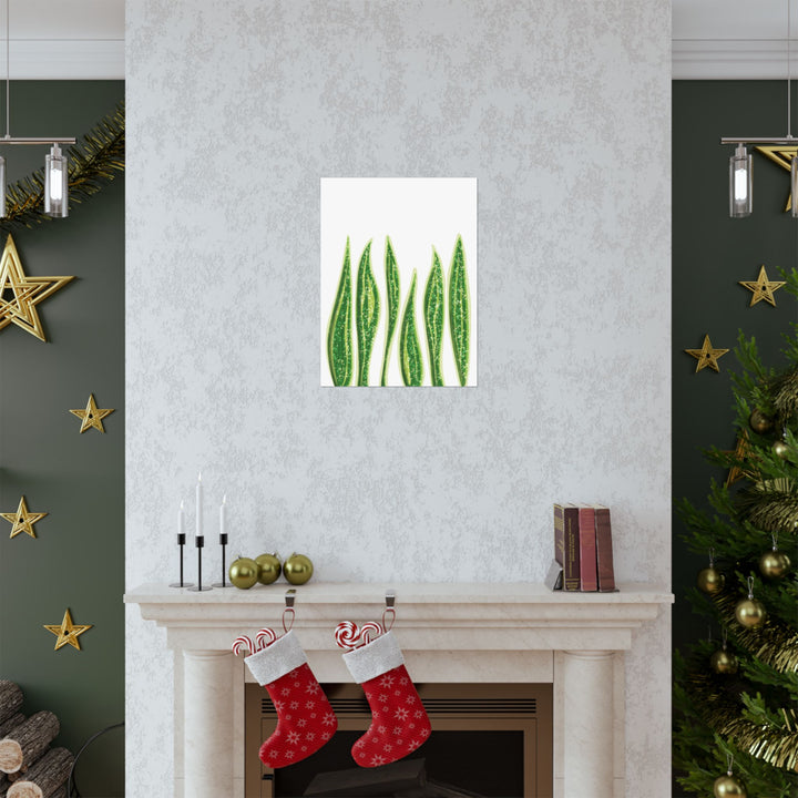 Snake Plant Print The Potted Pixel Large Botanical Poster Matte Finish Unframed Wall Art