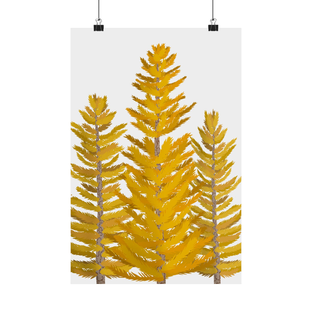 Western Larch Print – Unframed Wall Art