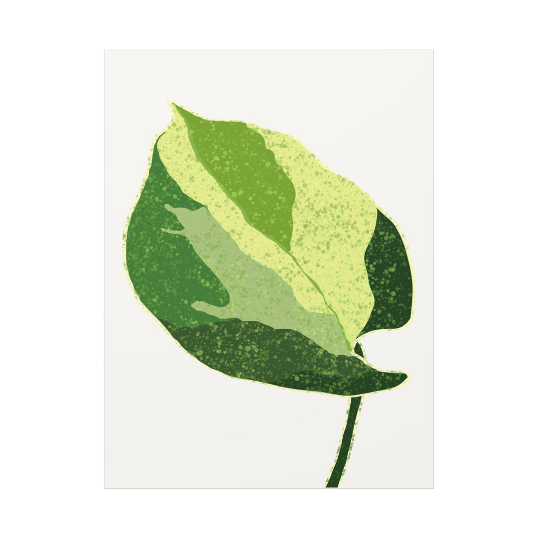 Manjula Pothos Botanical Canvas Print Matte Finish Stretched Canvas Wall Art 1.25 Inch Depth