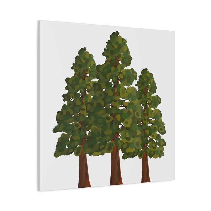 Coastal Redwoods Matte Canvas Print On 1.25 Inch Stretched Canvas For Serene Forest Wall Art In Living Rooms