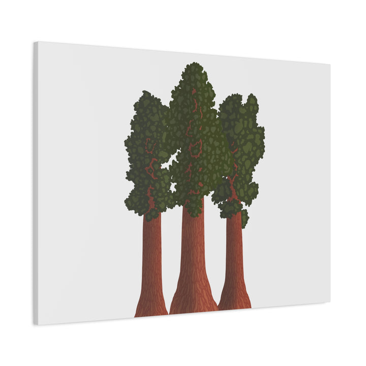 Giant Sequoias Canvas Print – Wall Art