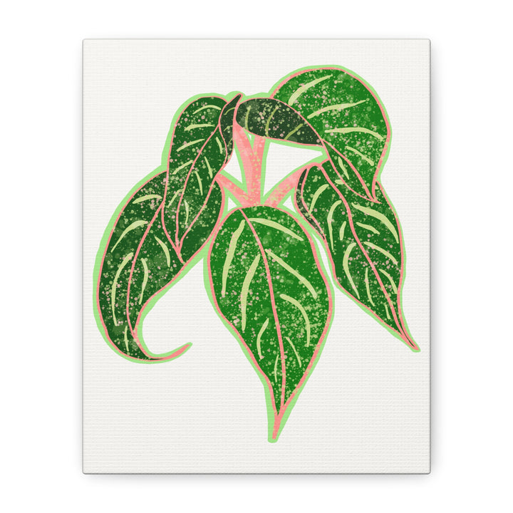 Aglaonema Sparkling Sarah Botanical Canvas Print On Matte Stretch Canvas For Modern Living Room Decor